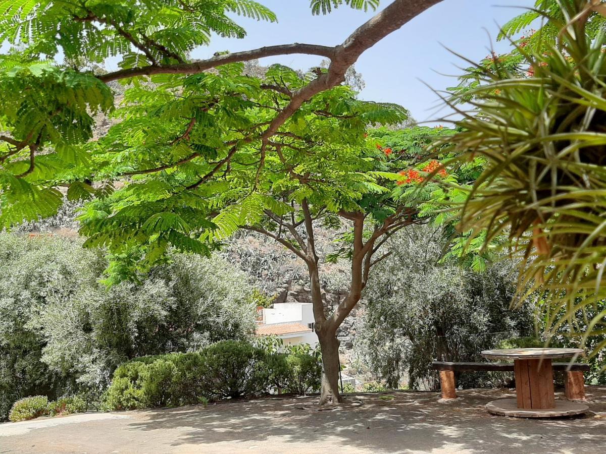 Peaceful House Set On A Vineyard & Work Friendly Villa Valsequillo Luaran gambar