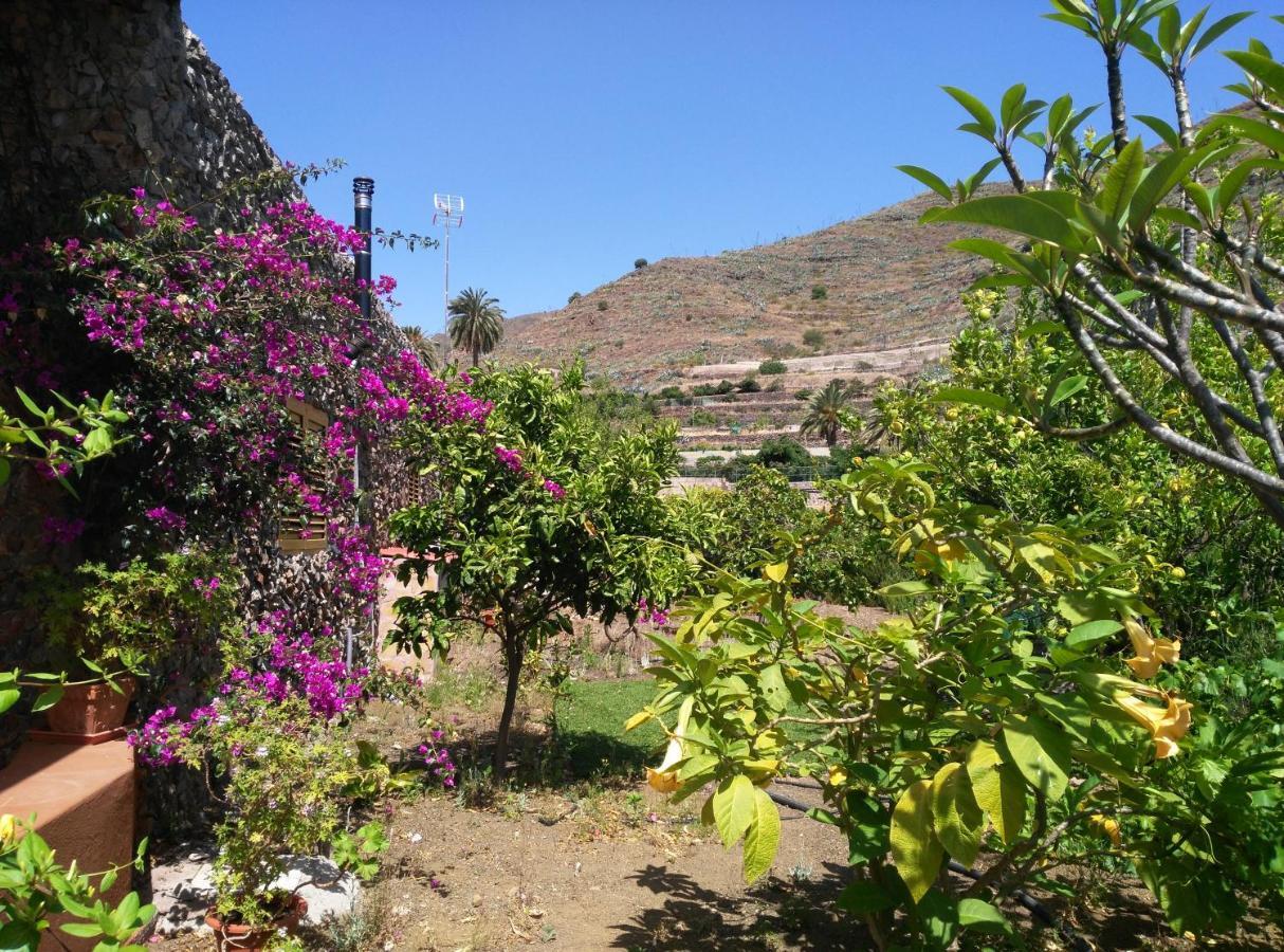 Peaceful House Set On A Vineyard & Work Friendly Villa Valsequillo Luaran gambar